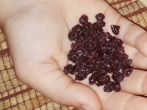 Ιδιότητες Κορινθιακής σταφίδας Ιδιότητες Κορινθιακής σταφίδας