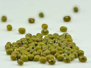 Θρεπτική αξία της Ροβίτσας Θρεπτική αξία της Ροβίτσας