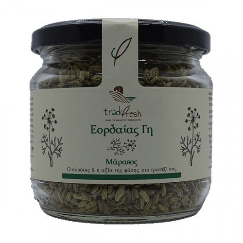 Αποξηραμένος Μάραθος tradifresh Αποξηραμένος Μάραθος tradifresh